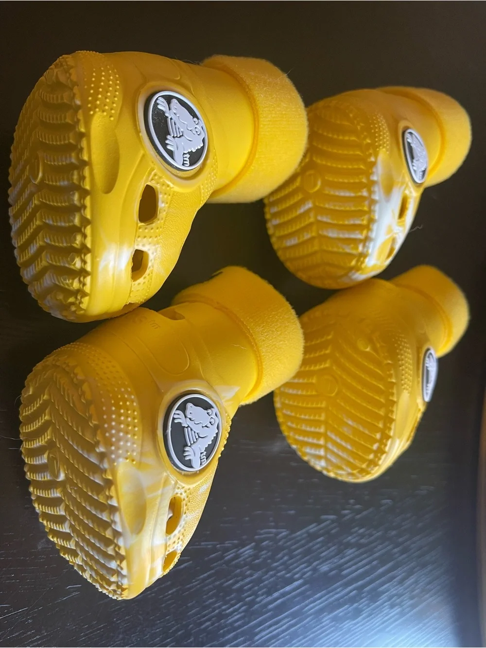Dog Crocs Yellow Bootie Clogs with Dino Medallion SIZE Large.